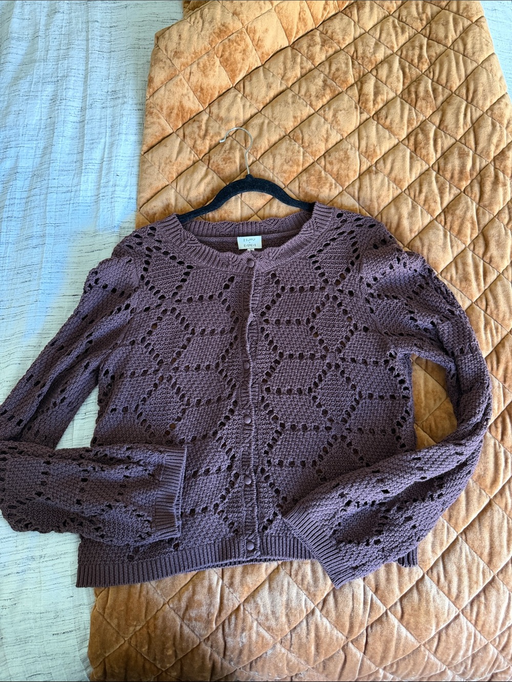 Zsupply / Evereve Knit Button-Front Cardigan in chocolate Brown